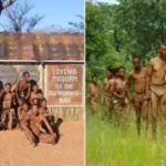 son dakika, son dakika haberleri, türkiye son dakika, türkiye son dakika haberleri