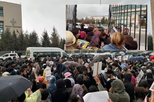 Türkiye Son Dakika Haberleri 51 son dakika, son dakika haberleri, türkiye son dakika, türkiye son dakika haberleri, sokak hayvanları