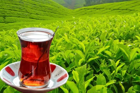 son dakika, son dakika haberleri, türkiye son dakika, türkiye son dakika haberleri, çay fiyatları