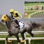 son dakika, son dakika haberleri, türkiye son dakika, türkiye son dakika haberleri, halis karataş son durum